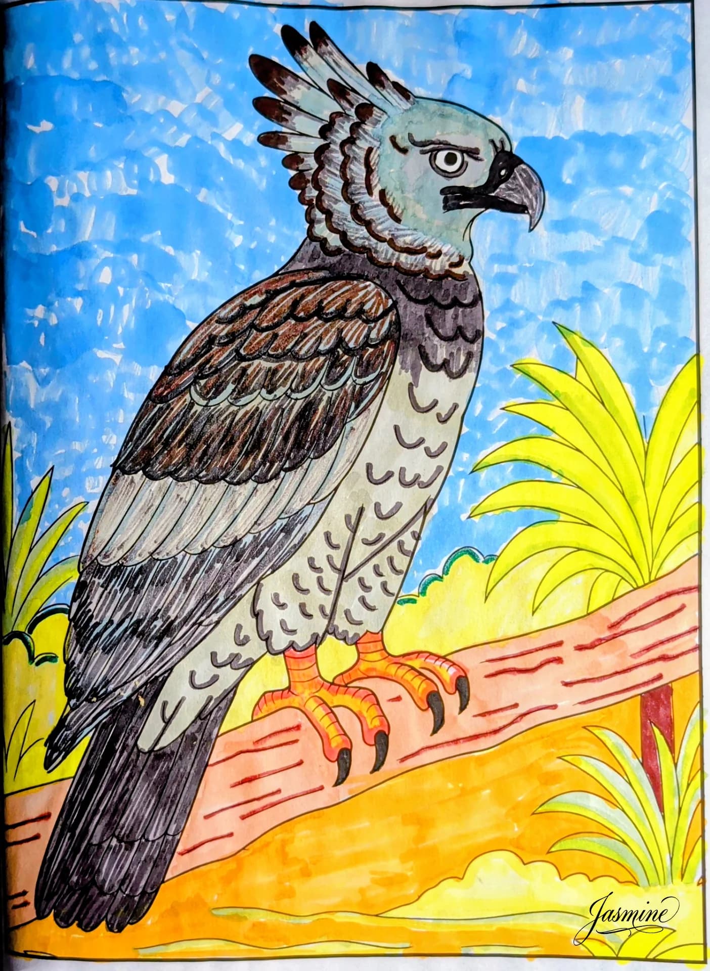Harpy Eagle Raptor Bird Coloring Page