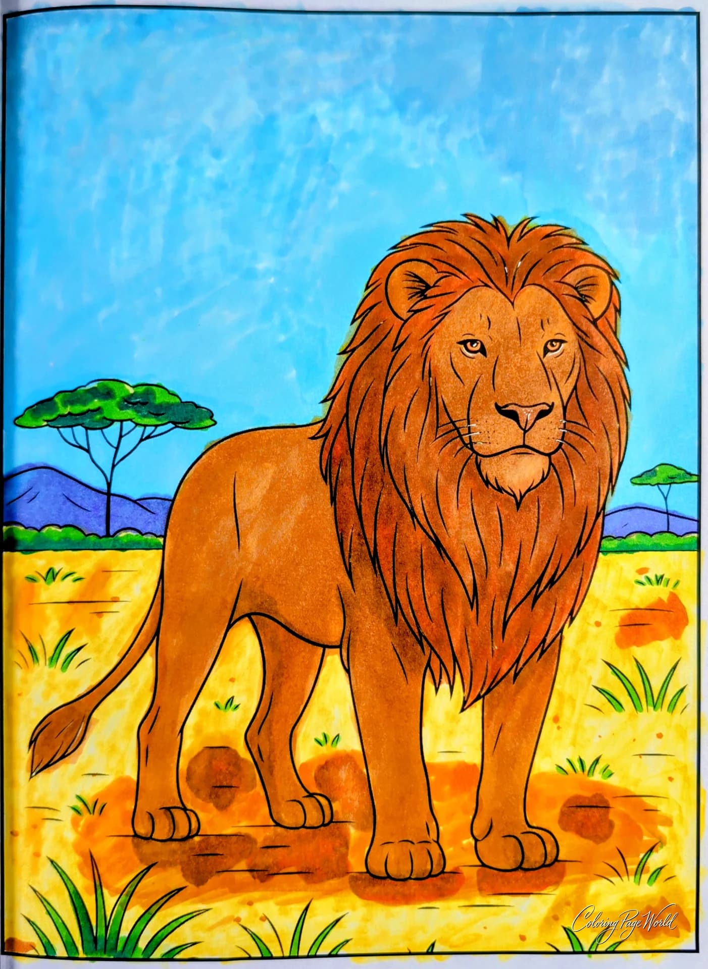 Majestic Lion Safari Coloring Page