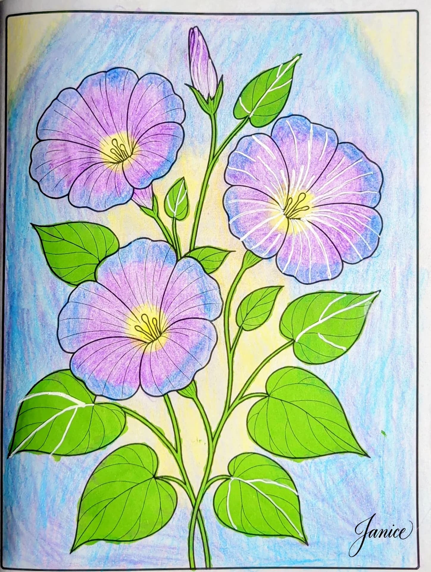 Morning Glory Flower Coloring Page